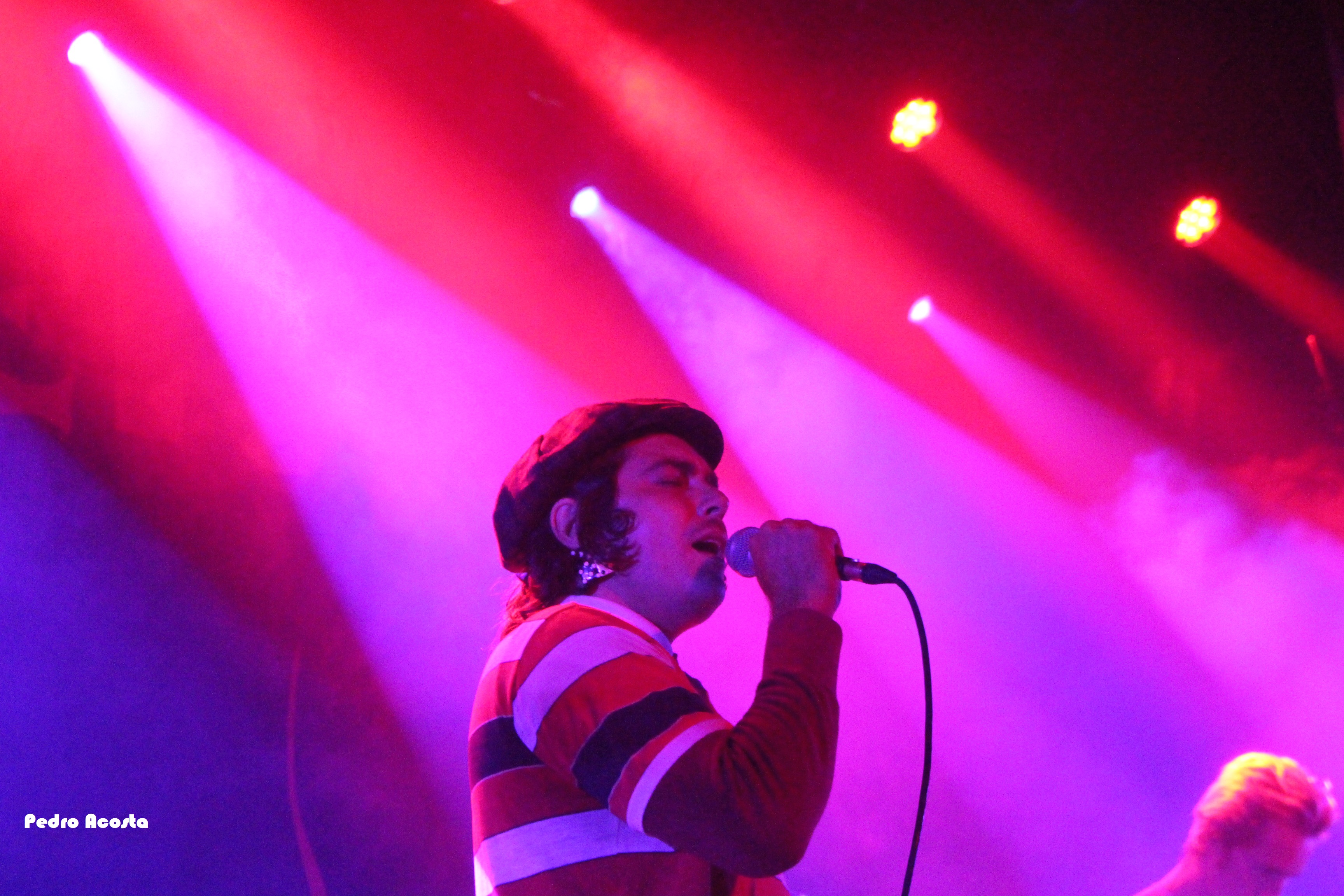 A Night with The Growlers